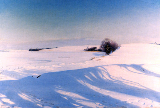  Sigvard-Marius Hansen A Winter Morning - Canvas Print