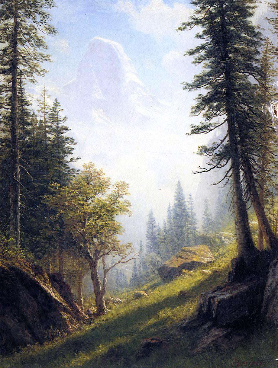  Albert Bierstadt Among the Bernese Alps - Canvas Print