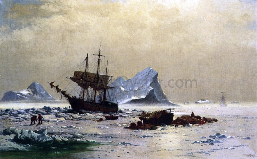  William Bradford Among the Ice Floes - Canvas Print