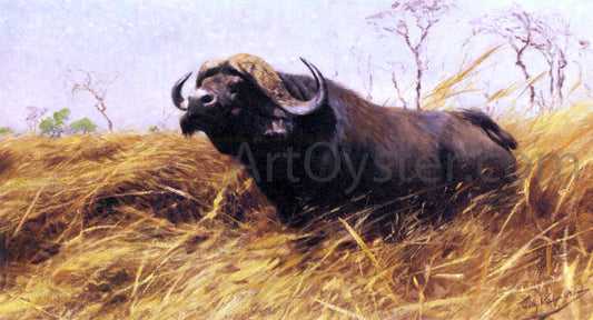  Wilhelm Kuhnert An African Buffalo - Canvas Print