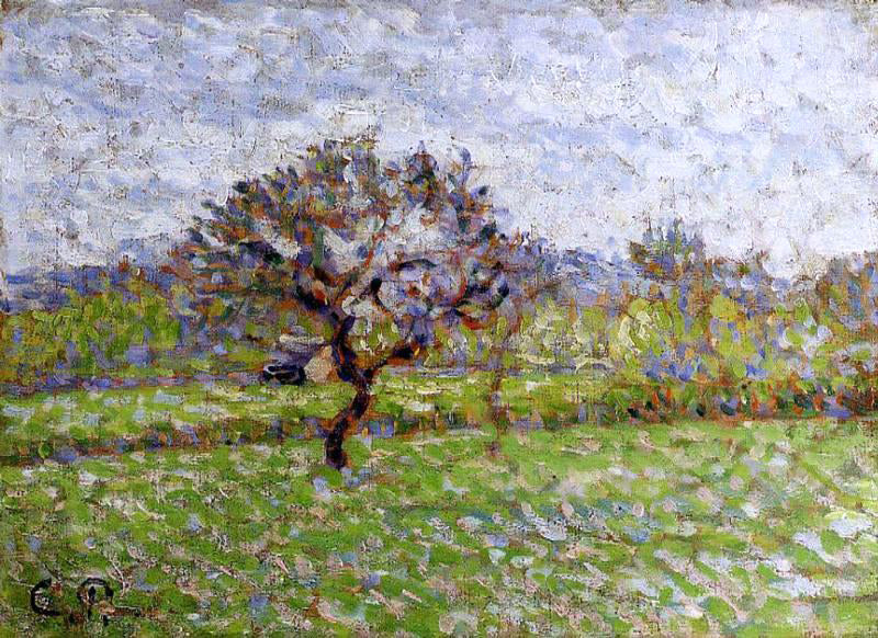  Camille Pissarro An Apple Tree at Eragny - Canvas Print