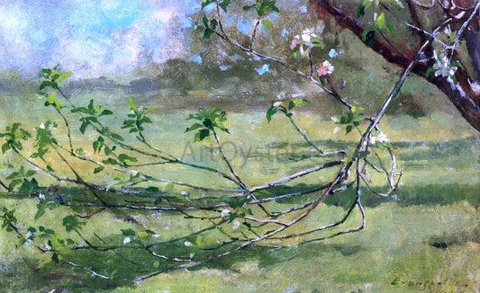  Theodore Robinson Apple Blossoms - Canvas Print