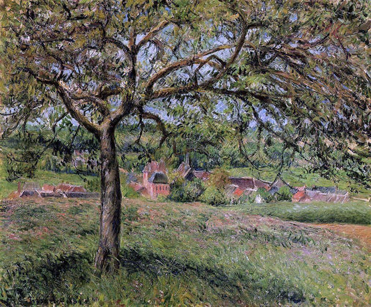  Camille Pissarro Apple Tree at Eragny - Canvas Print