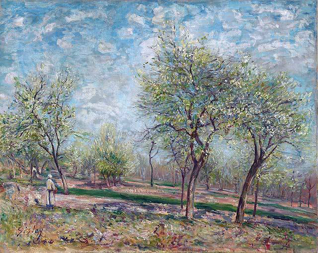  Alfred Sisley Apple Trees in Bloom - Canvas Print