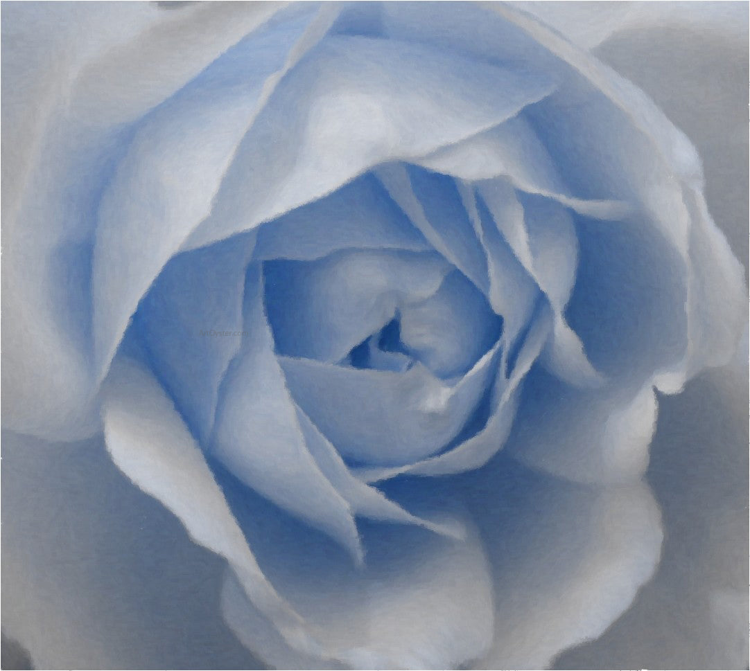  Our Original Collection Baby Blue Rose - Canvas Print