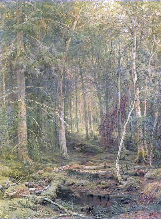  Ivan Ivanovich Shishkin Backwoods - Canvas Print