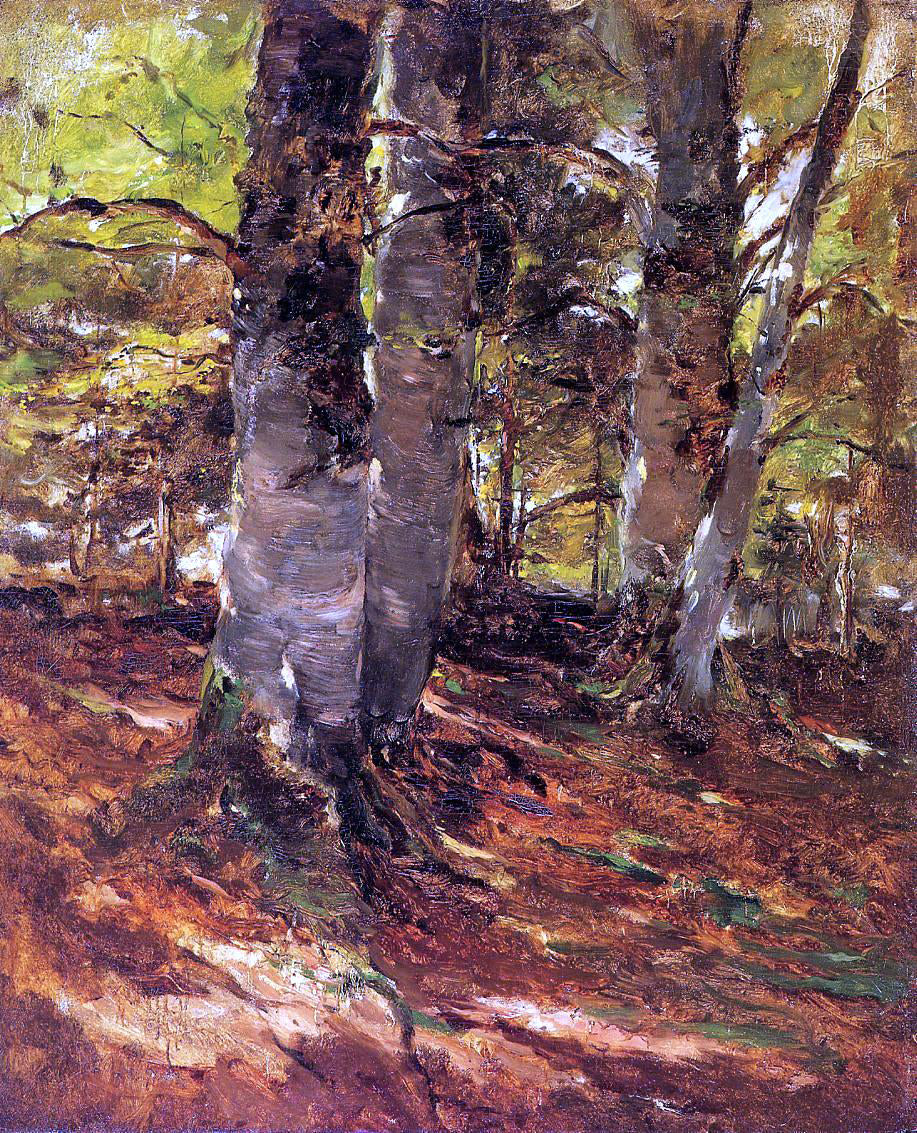  Frank Duveneck Beachwoods at Polling - Canvas Print