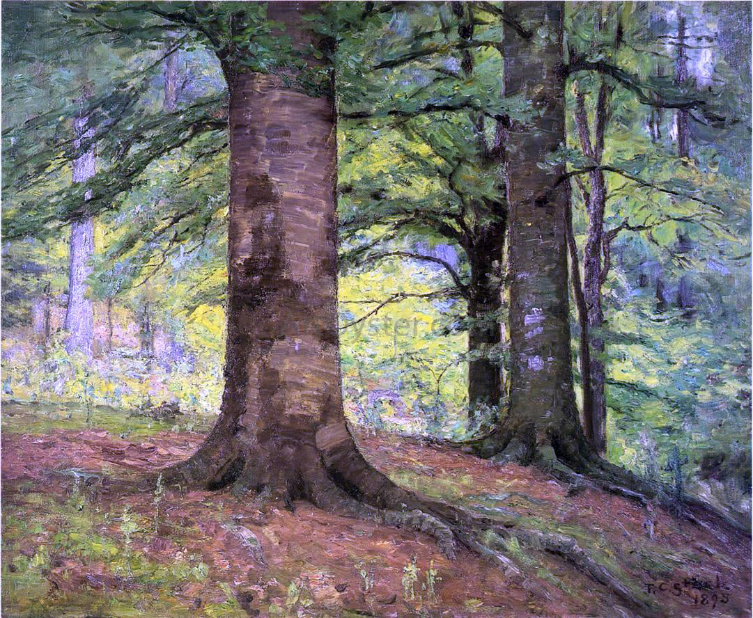  Theodore Clement Steele Beech Trees - Canvas Print