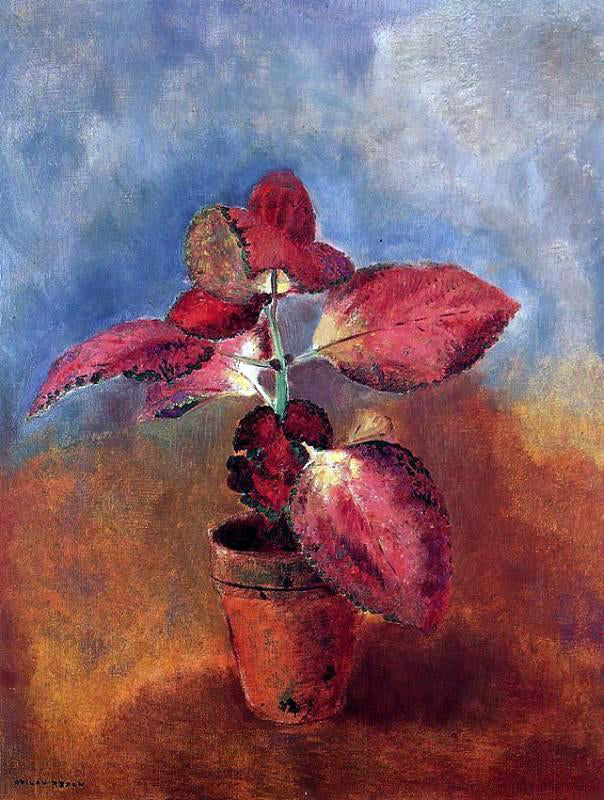  Odilon Redon Begonia in a Pot - Canvas Print