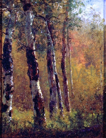  Thomas Worthington Whittredge Birch Trees - Canvas Print