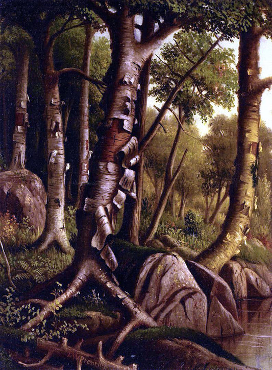  Levi Wells Prentice Birch Trees - Canvas Print