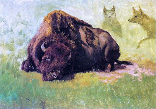  Albert Bierstadt Bison with Coyotes in the Background - Canvas Print