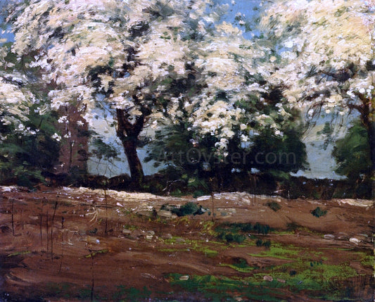 Frederick Childe Hassam Blossoms - Canvas Print