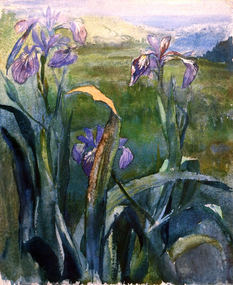  John La Farge Blue Iris, Study - Canvas Print