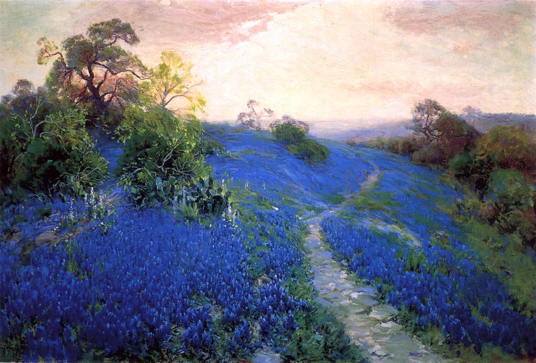  Julian Onderdonk Bluebonnet Field - Canvas Print