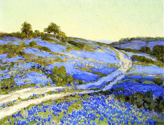  Julian Onderdonk Bluebonnets, Late Afternoon - Canvas Print