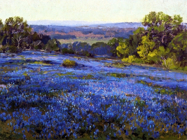  Julian Onderdonk Bluebonnets, Late Afternoon, North of San Antonio - Canvas Print