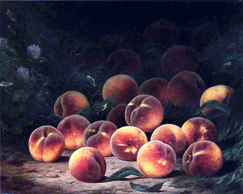  William Mason Brown Bounty of Peaches - Canvas Print