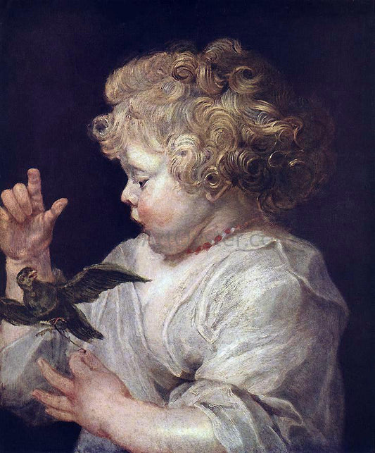  Peter Paul Rubens Boy with Bird - Canvas Print