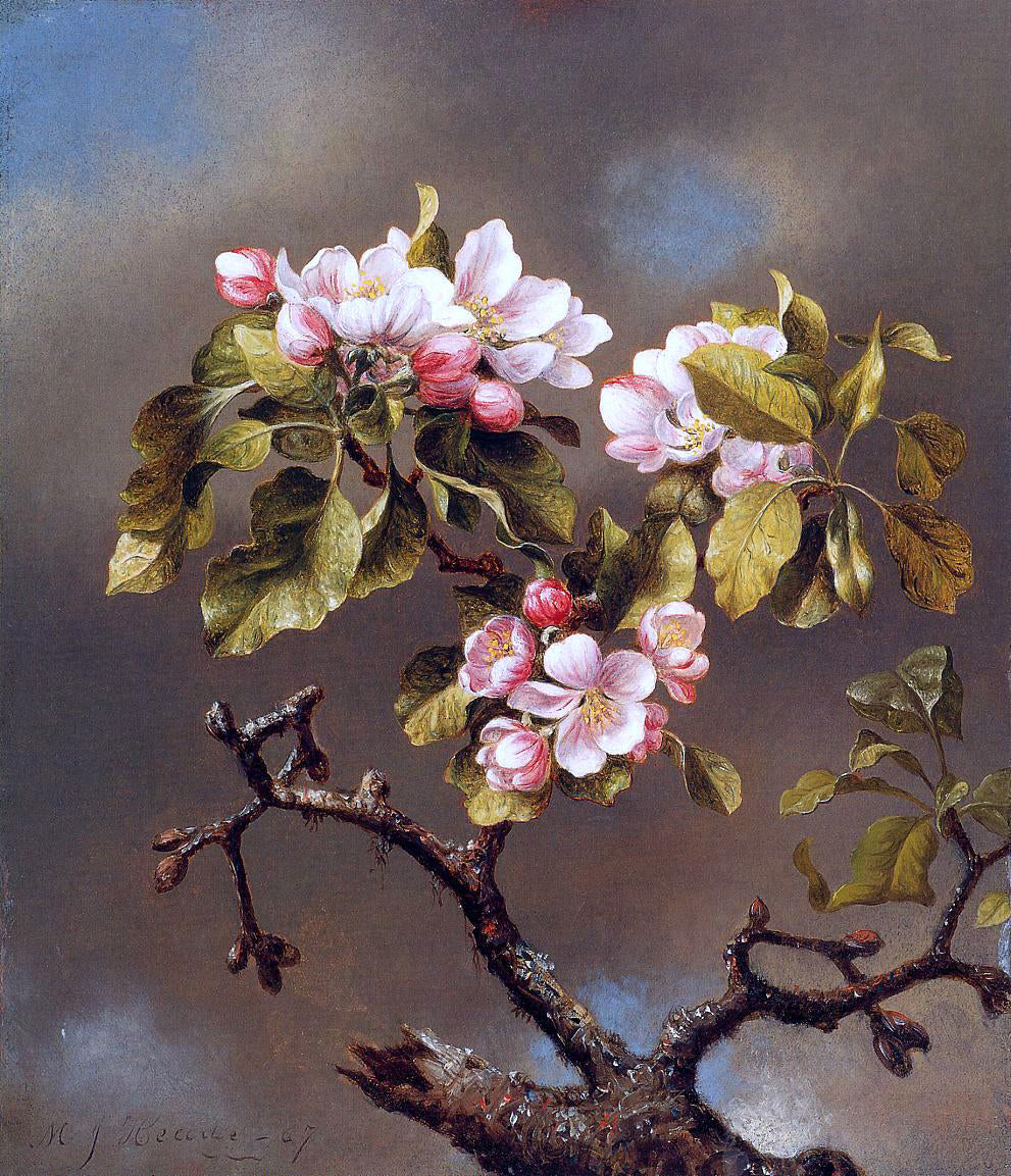  Martin Johnson Heade Branch of Apple Blossoms against a Cloudy Sky - Canvas Print