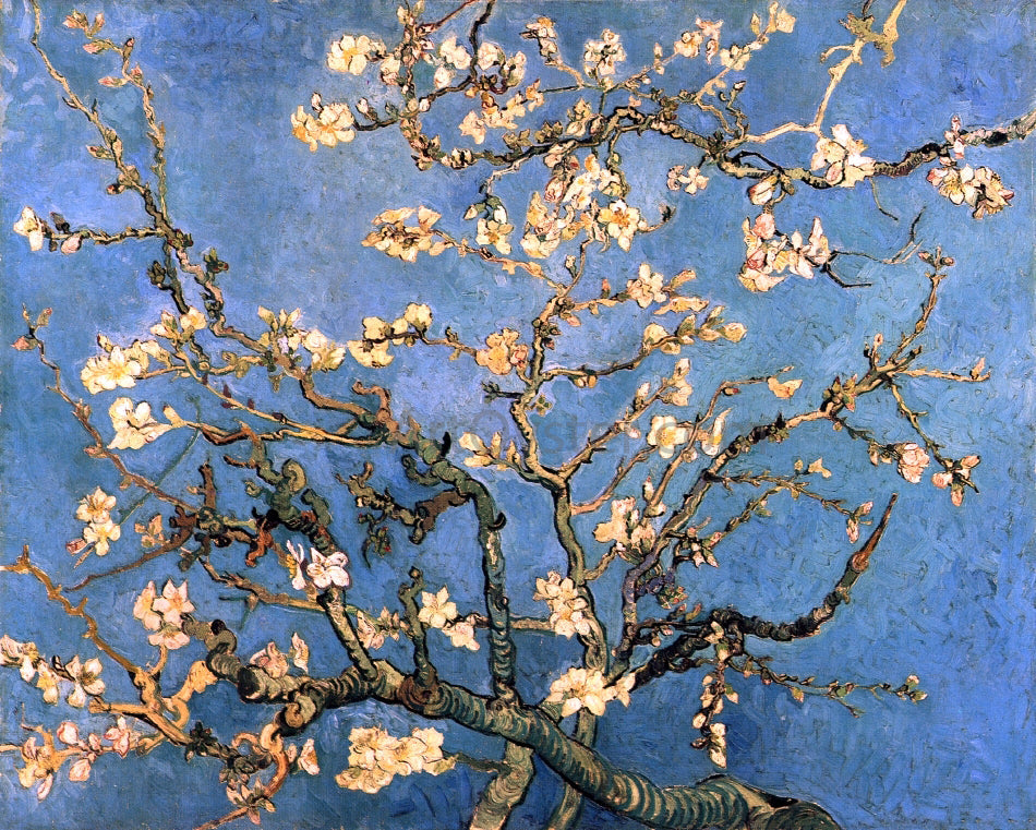  Vincent Van Gogh A Branch with Almond Blossom - Canvas Print