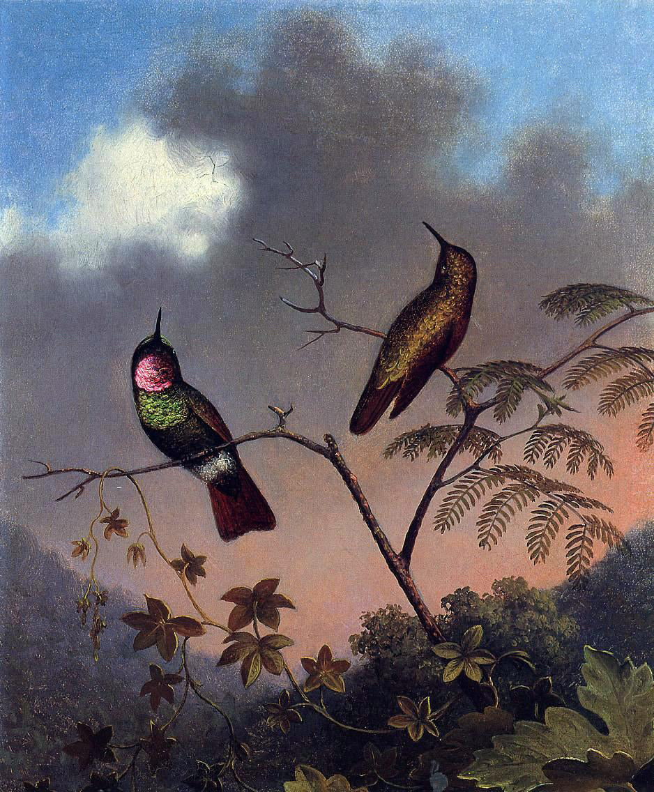  Martin Johnson Heade Brazilian Ruby Hummingbirds - Canvas Print