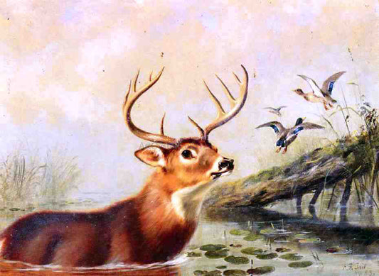  Arthur Fitzwilliam Tait Buck in a Marsh - Canvas Print