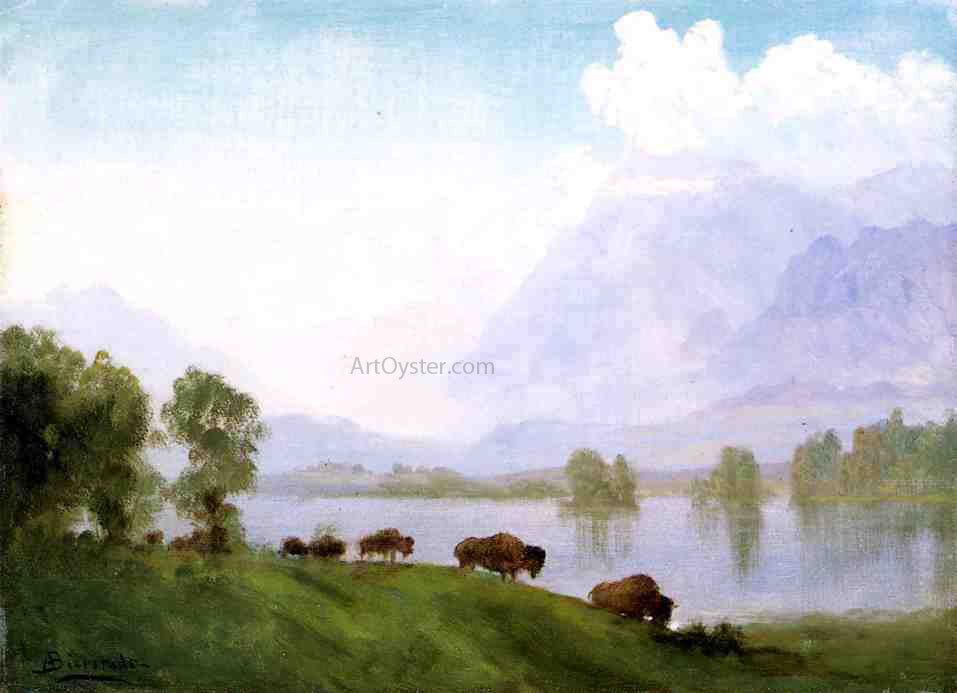  Albert Bierstadt Buffalo Country - Canvas Print