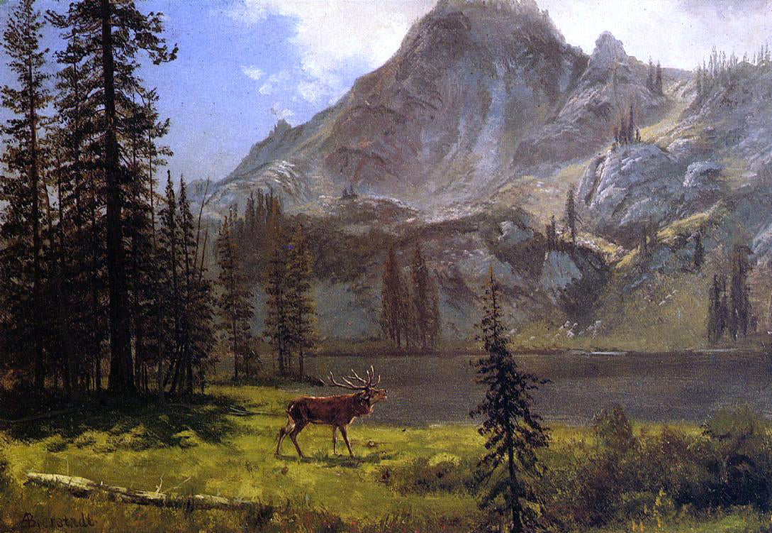  Albert Bierstadt Call of the Wild - Canvas Print