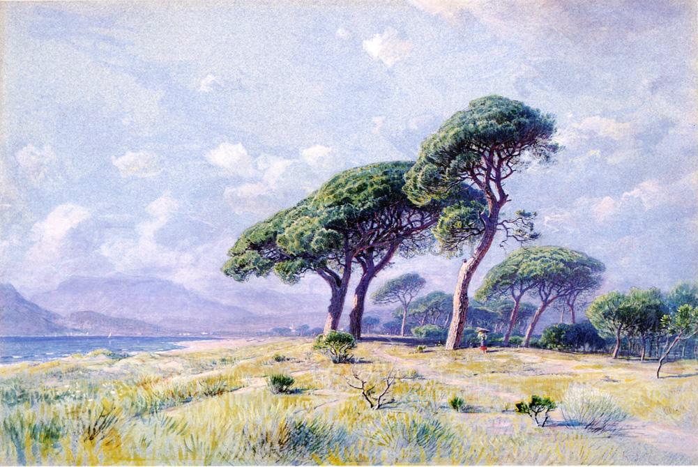  William Stanley Haseltine Cannes - Canvas Print