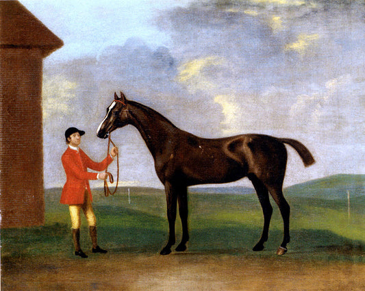  Francis Sartorius Captain Dennis O'Kelly's Basilimo Held By A Groom - Canvas Print