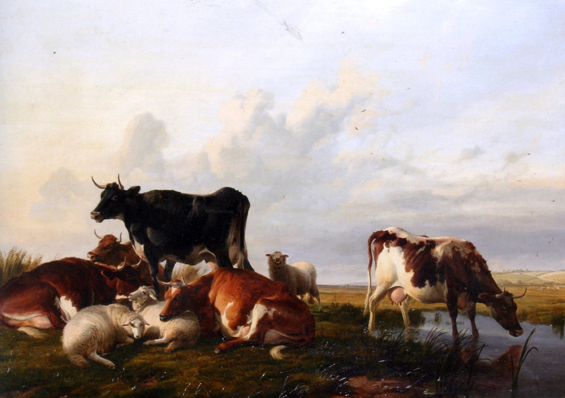  Thomas Sidney Cooper Cattle and Sheep Probably in Canterbury Meadows - Canvas Print