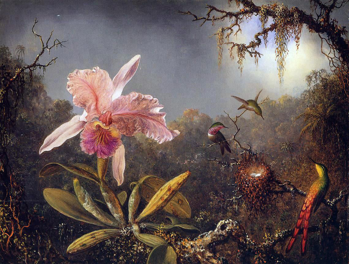  Martin Johnson Heade Cattleya Orchid and Three Brazilian Hummingbirds - Canvas Print