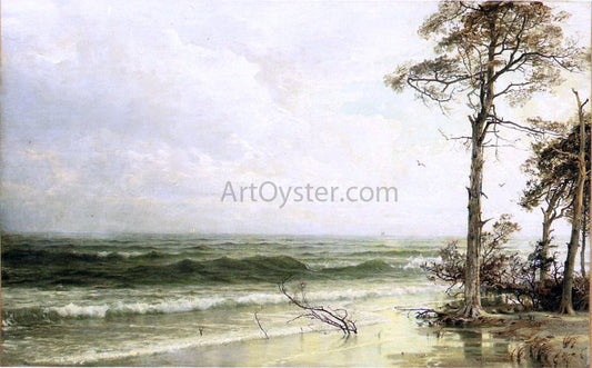  William Trost Richards Cedars on the Shore Near Atlantic City - Canvas Print