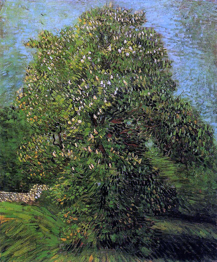  Vincent Van Gogh Chestnut Tree in Bloom - Canvas Print