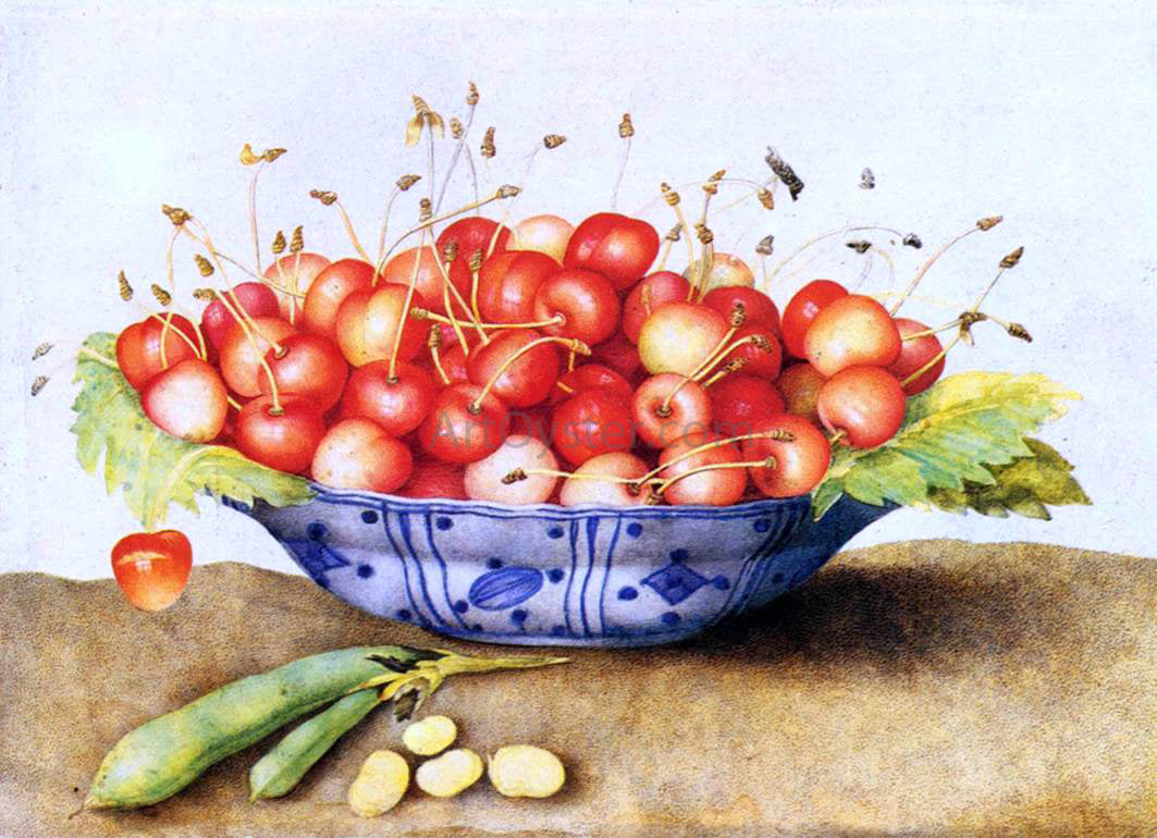  Giovanna Garzoni Chinese Porcelain Plate with Cherries - Canvas Print