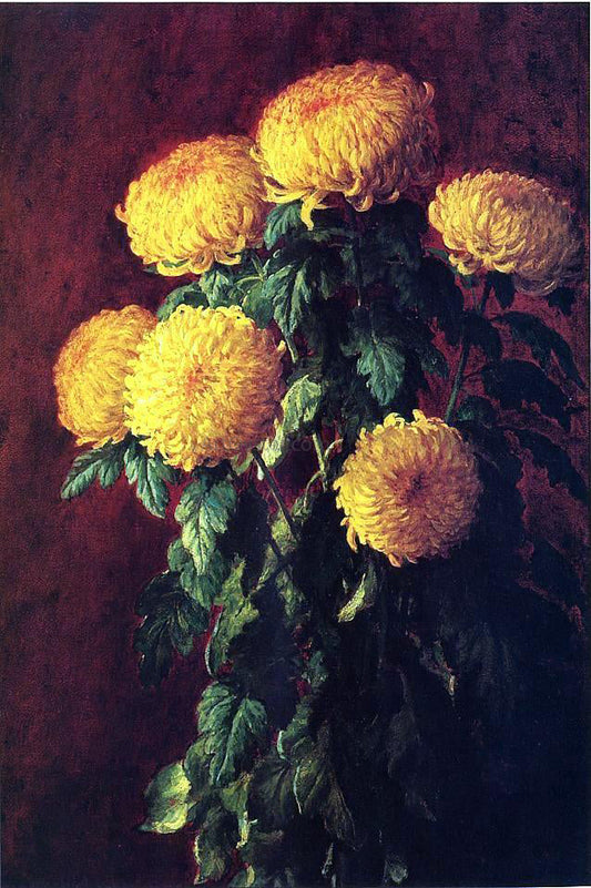  John Ross Key Chrysanthemums - Canvas Print