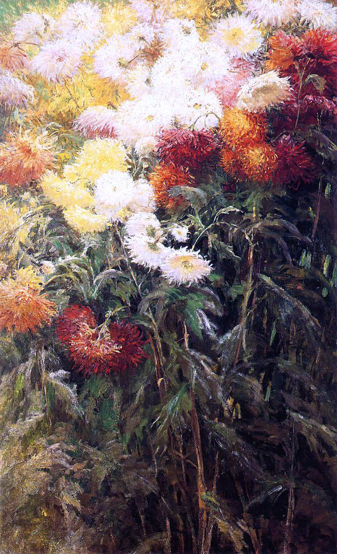  Gustave Caillebotte Chrysanthemums, Garden at Petit Gennevilliers - Canvas Print