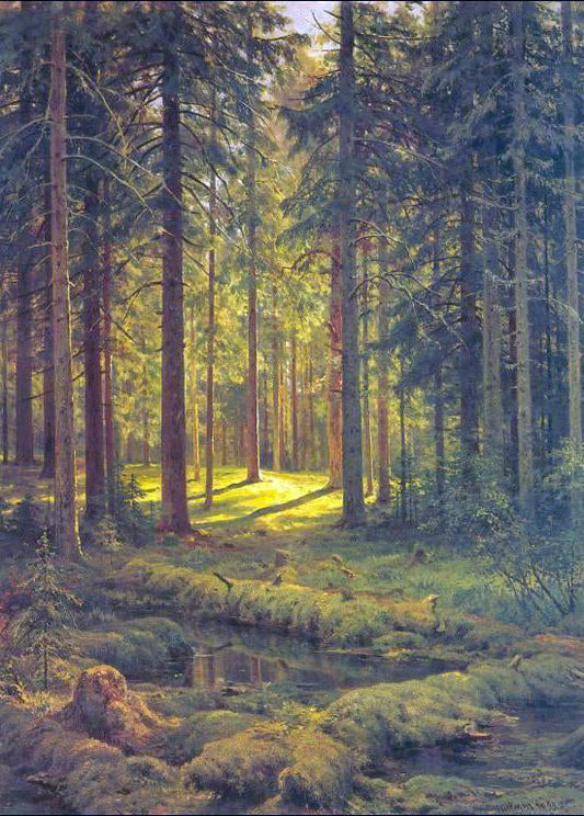  Ivan Ivanovich Shishkin Coniferous Forest, Sunny Day - Canvas Print