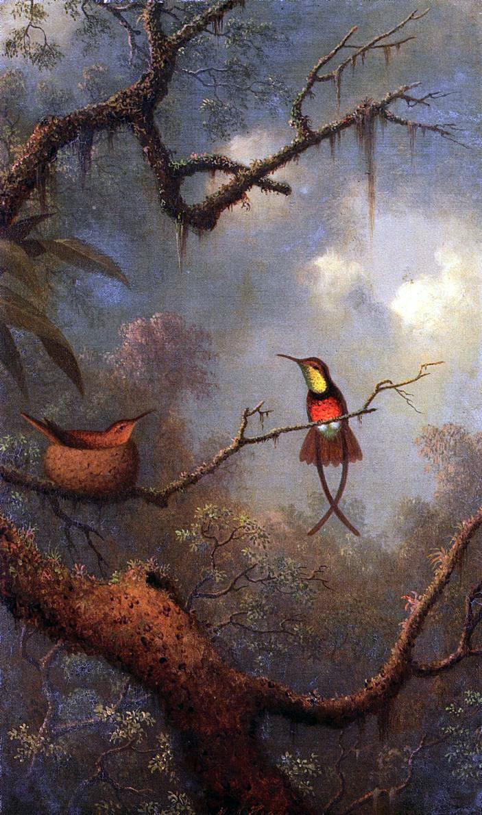  Martin Johnson Heade Crimson Topaz Hummingbirds Nesting in a Tropical Forest - Canvas Print
