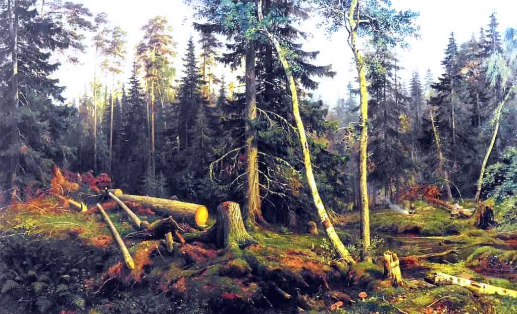  Ivan Ivanovich Shishkin Cutting of wood - Canvas Print