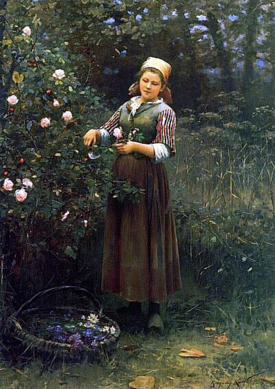  Daniel Ridgway Knight Cutting Roses - Canvas Print