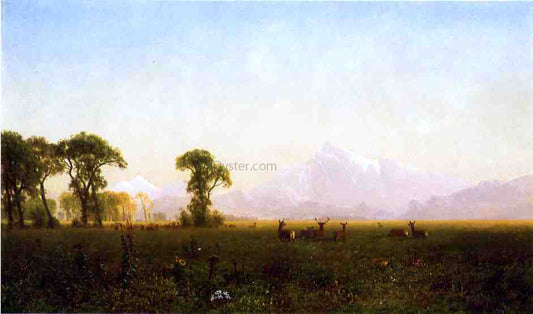  Albert Bierstadt Deer Grazing, Grand Tetons, Wyoming - Canvas Print