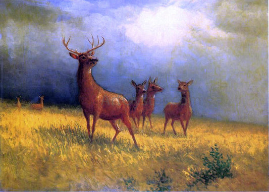  Albert Bierstadt Deer in a Field - Canvas Print