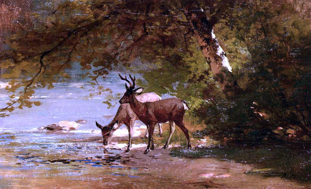  Thomas Hill Deer in a Landscape - Canvas Print