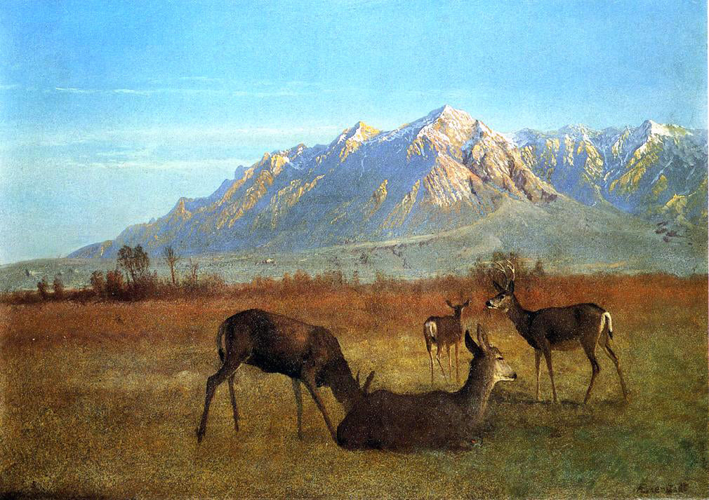  Albert Bierstadt Deer in a Mountain Home - Canvas Print