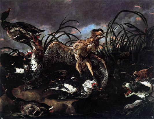  Jan Fyt Ducks and Water Hens Surprised by Dogs - Canvas Print