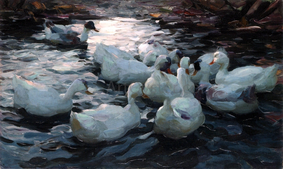  Alexander Koester Ducks Feeding - Canvas Print