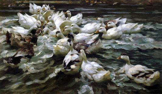  Alexander Koester Ducks in a Pond - Canvas Print