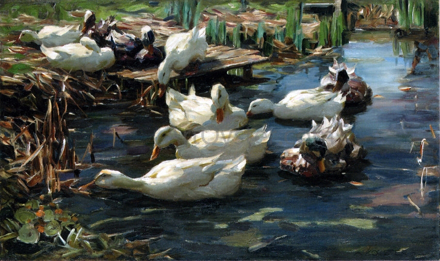  Alexander Koester Ducks in a Quiet Pool - Canvas Print